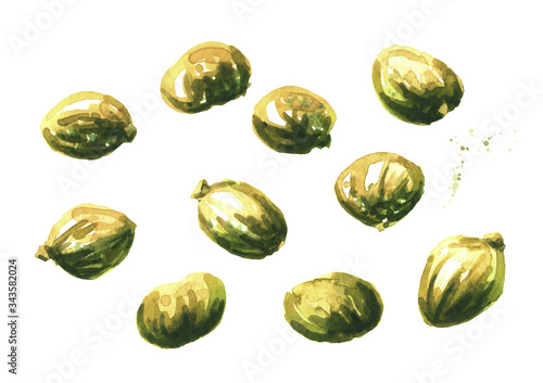 Marinated small capers set. Hand drawn watercolor illustration isolated on white background