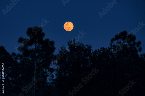 April 2020 Supermoon, Punta Gorda, Florida