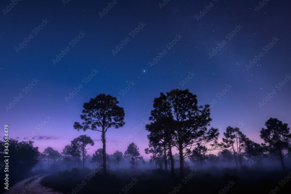 View of Mars, Jupiter and Saturn and the Milky Way in the early morning sky over Babcock Wildlife Management Area near Punta Gorda, Florida View of Mars, Jupiter and Saturn and the Milky Way in the early morning sky over Babcock Wildlife Management Area near Punta Gorda, Florida
