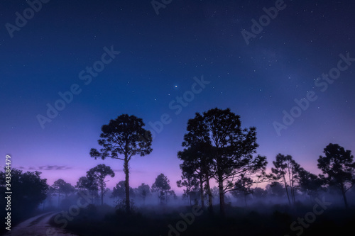 View of Mars, Jupiter and Saturn and the Milky Way in the early morning sky over Babcock Wildlife Management Area near Punta Gorda, Florida