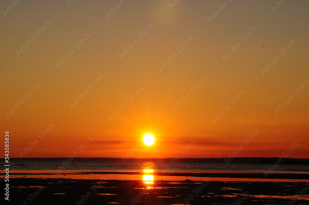 
flowers macro sky sunset dogs husky and dachshund sea beach sun lake city field pitfall duck