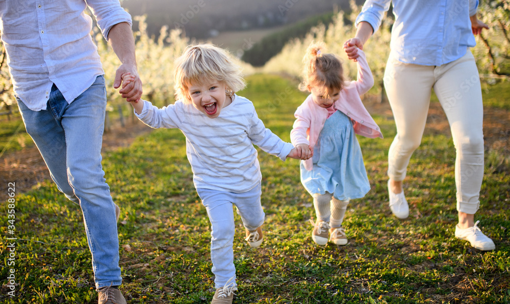 Family with two small children running outdoors in orchard in spring. Family with two small children running outdoors in orchard in spring.