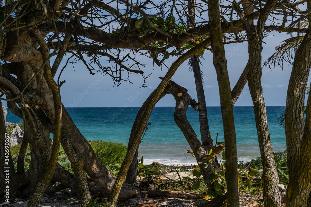 Trees, turquoise sea, sky at Tulum