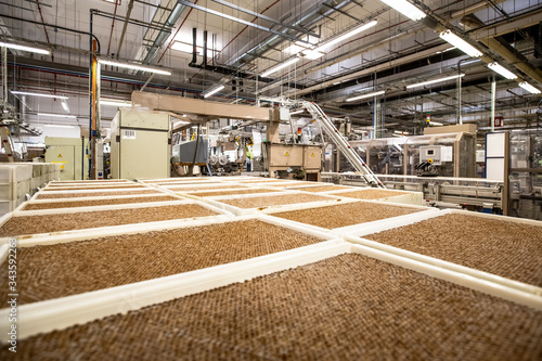 Ready cigarettes in a tobacco factory