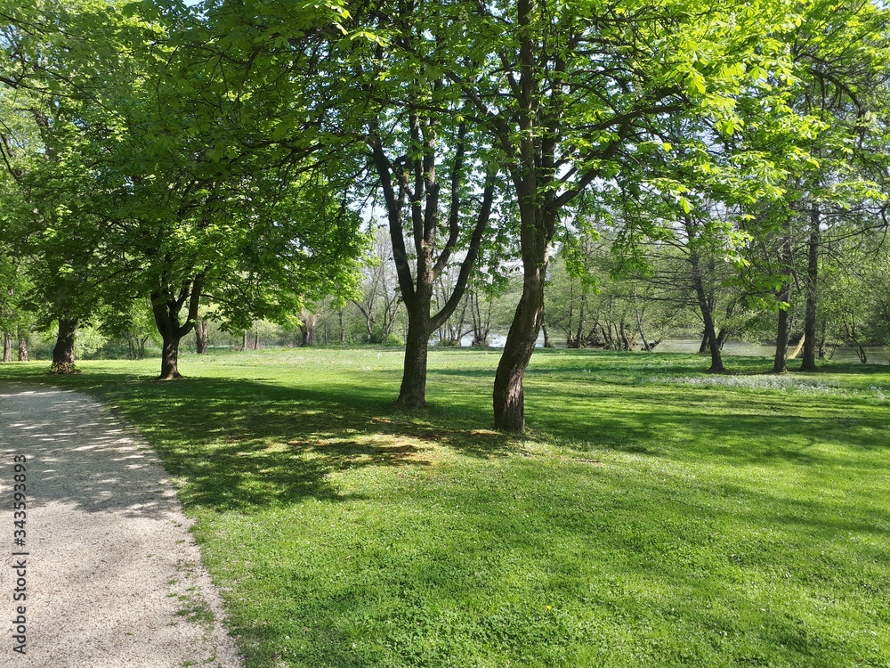 Alley in the park with green meadow and river