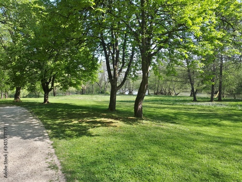 Fototapeta Naklejka Na Ścianę i Meble -  Alley in the park with green meadow and river