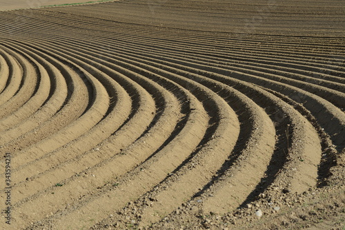 Fotografia plowed field in spring