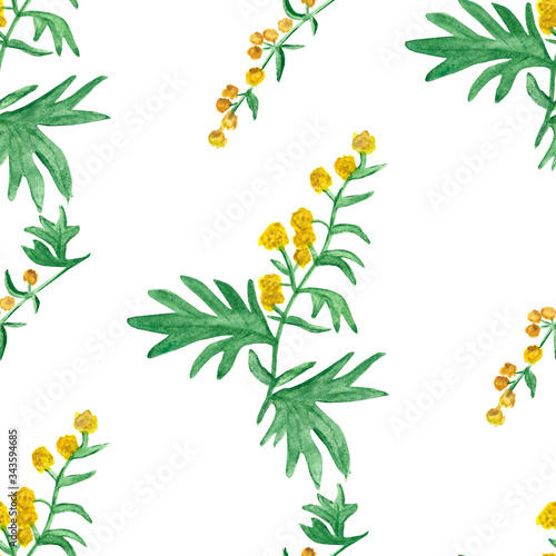 Watercolor hand painted nature herbal plant seamless pattern with wormwood green leaves on branch and yellow flowers isolated on the white background, healthy sagebrush print for design