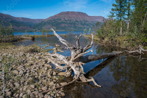 Travel to the Putorana plateau in Siberia in Russia in the summer