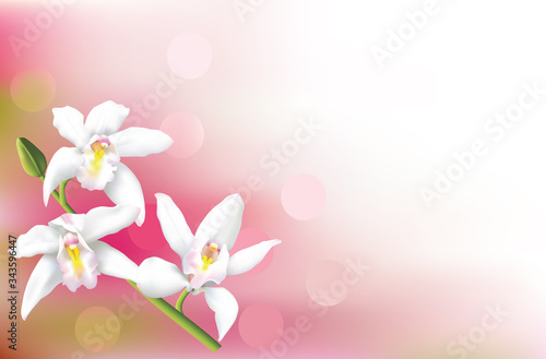 Greeting card, or wedding invitation card, with beautiful white cymbidium orchids. 
