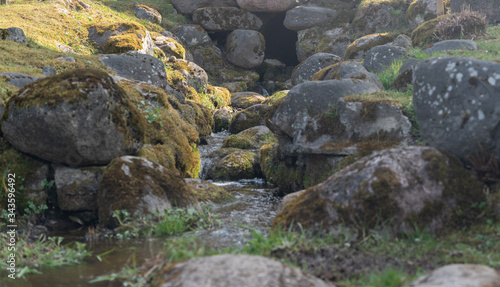 Bilde på lerret rill in spring time