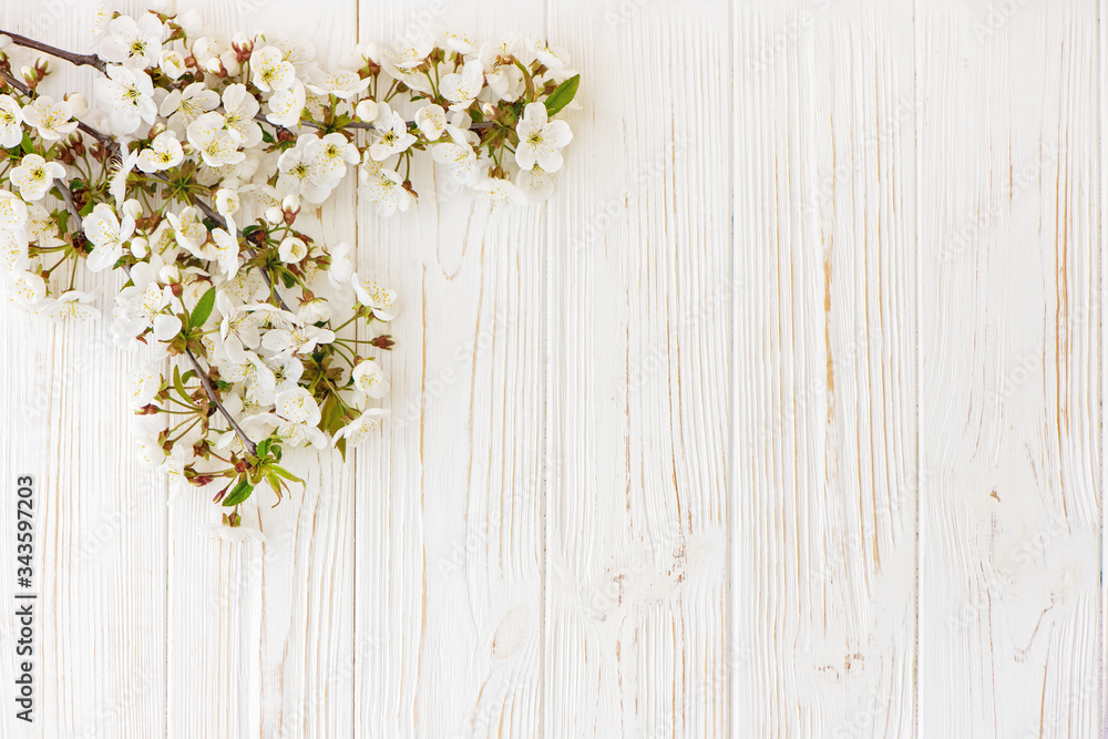 Spring cherry blossom on white. Spring cherry blossom on white.