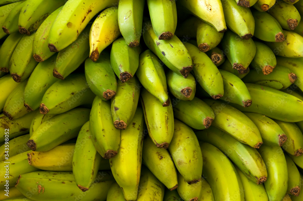  Bananas fruits close up, tropical yellow pattern, banana isolated