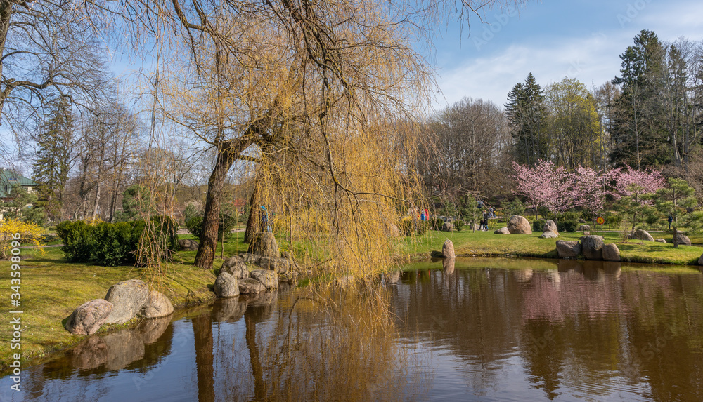 pond in the park spring time pond in the park spring time