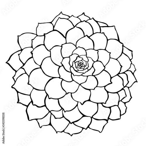 Abstrakte Blume in Schwarz und weiß als Vektor Datei. Verwendbar für Grußkarten, Plakate, Logo, etc. 
Handgezeichnet und jederzeit veränderbar. Abstraktes Objekt für jeden Anwendungsfall.