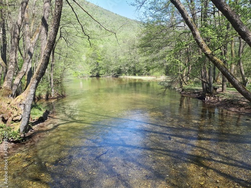 Fototapeta Naklejka Na Ścianę i Meble -  Green river in the national park