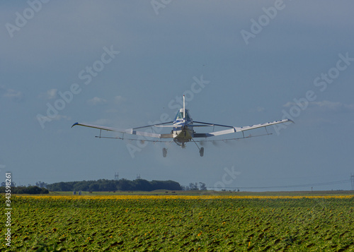 avión fumigando sobre campo de girasoles en una tarde de verano en Argentina
