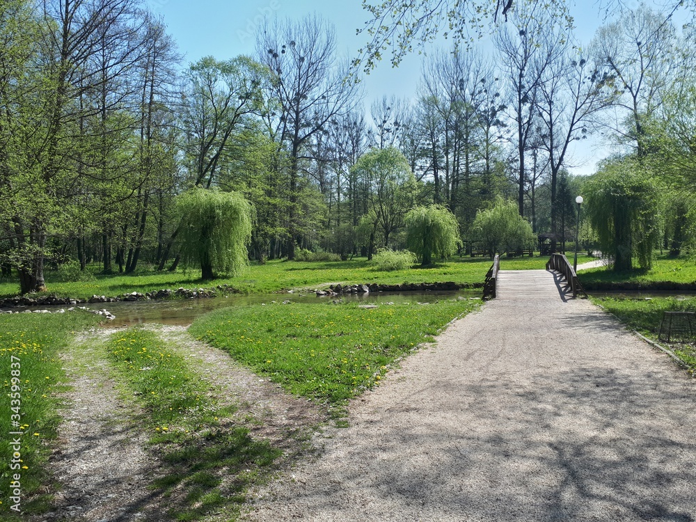 Fototapeta premium Sunny day in park with wooden bridge and various trees