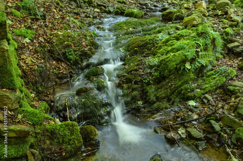 Little Waterfall in the woods of Brenta mountains