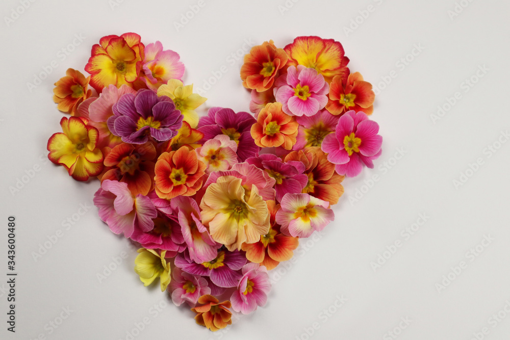 Blumenherz. Blumenherz.