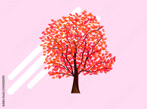 Canadian Red Maple Tree Bonsai Flat Vector Icon Illustration