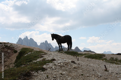 Mountains photo