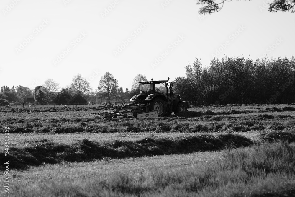 Naklejka premium tractor in a field mowing