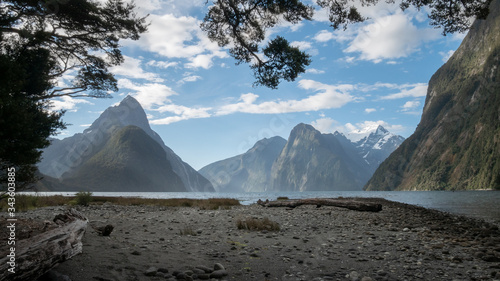 Wallpaper Mural Fjord landscape framed by tree branches during the sunny day. Photo taken in Milford Sound, Fiordland National Park, New Zealand Torontodigital.ca