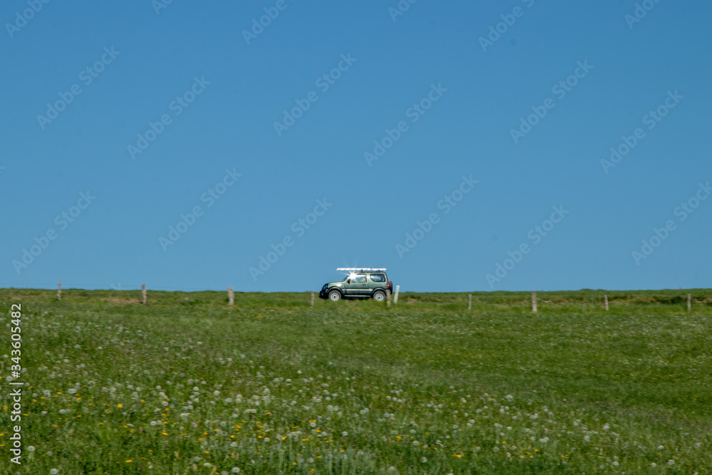 green meadow under the blue sky, car driving in the background