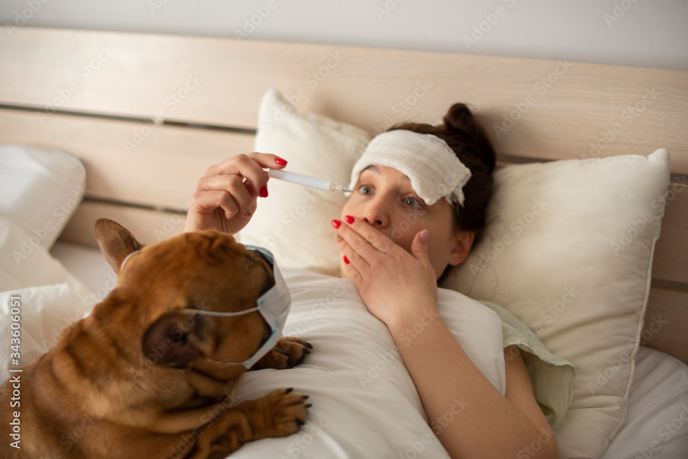 Φωτογραφία A young girl is lying in bed with heat, her French bulldog is helping her