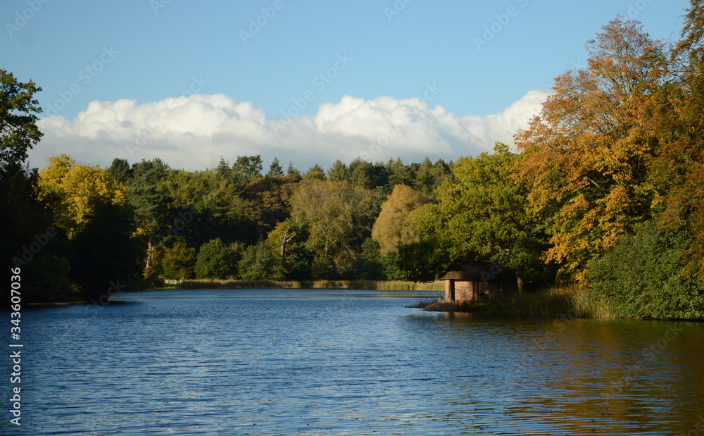 lake in the forest