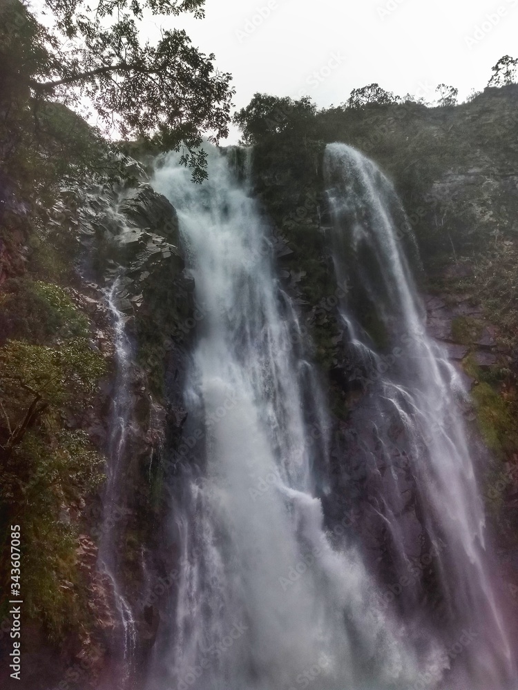 Fototapeta premium waterfall in the forest