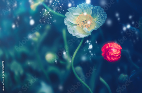 Dramatic flower background; Nature Background