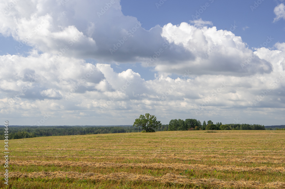 Harvested agricultural fields in the hills surrounded by trees on a warm late summer afternoon in Latvia