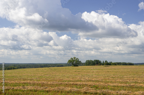 Harvested agricultural fields in the hills surrounded by trees on a warm late summer afternoon in Latvia