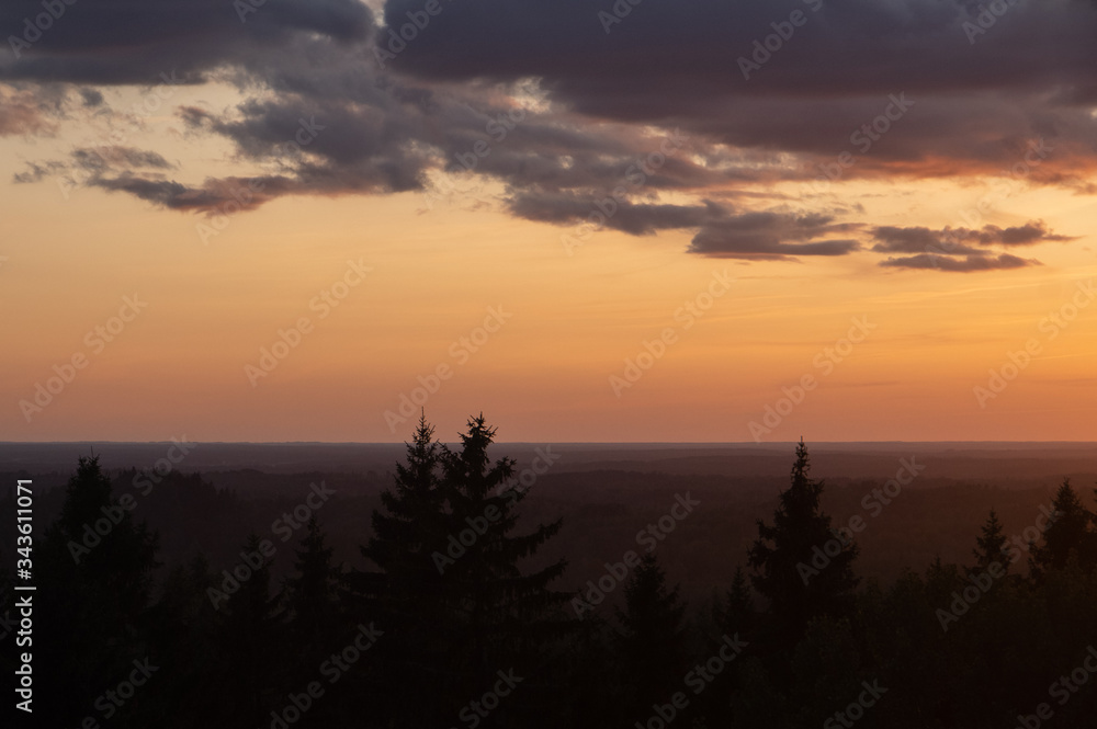 View to silhouettes of the fir tree tops against golden and blue sky with dramatic clouds lit by beautiful summer sunset over the spruce-fir forest, focus on tops of the trees
View to silhouettes of the fir tree tops against golden and blue sky with dramatic clouds lit by beautiful summer sunset over the spruce-fir forest, focus on tops of the trees