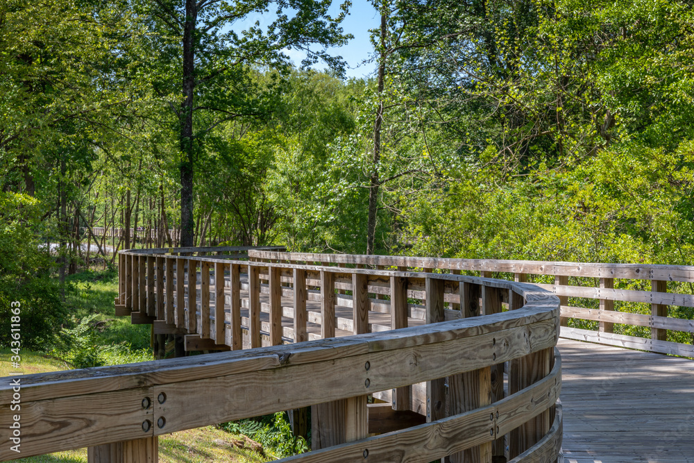 Serpentine elevated boardwalk over wetlands, biking or jogging recreation area, horizontal aspect Serpentine elevated boardwalk over wetlands, biking or jogging recreation area, horizontal aspect