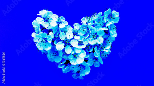 Heart shaped flowers on blue background. Stock photo.