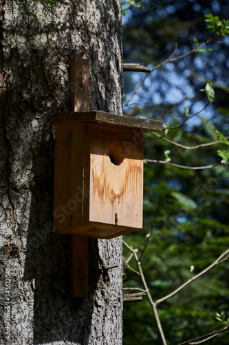 A classic birdhouse hung on a tall tree