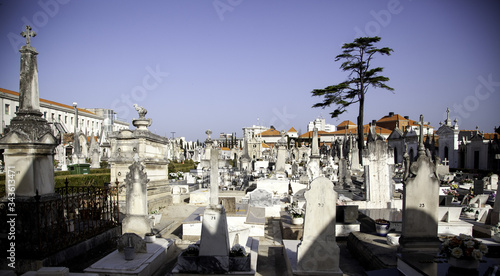 Old cemetery in lisbon