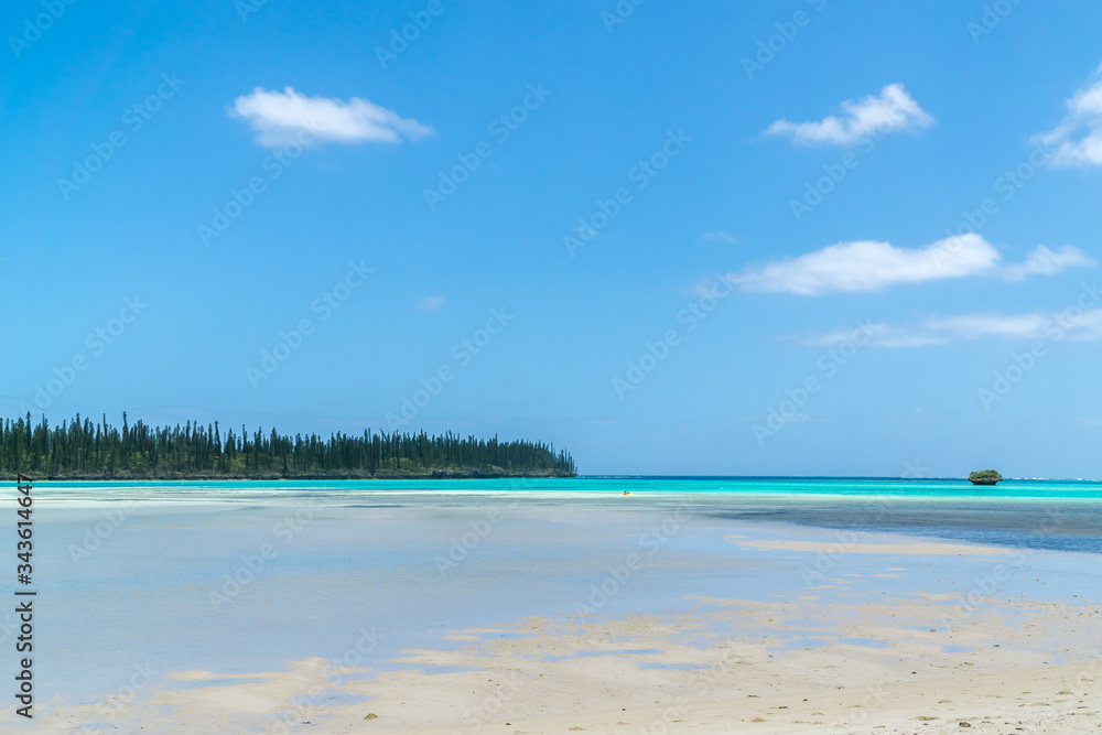 amazing seascape of isle of pines. lagoon is turquoise. typical araucaria forest in the background