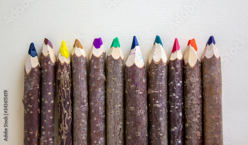 Bunch of pencils stylized tree branch. isolated on the white background. photo