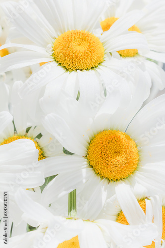 Bouquet of flowers from white daisies close-up.