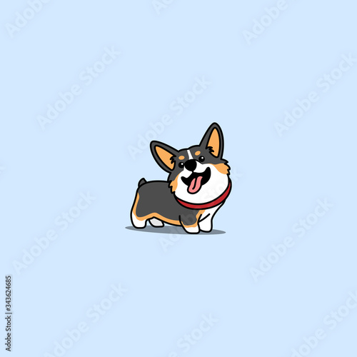 Cute corgi tricolor puppy cartoon, vector illustration