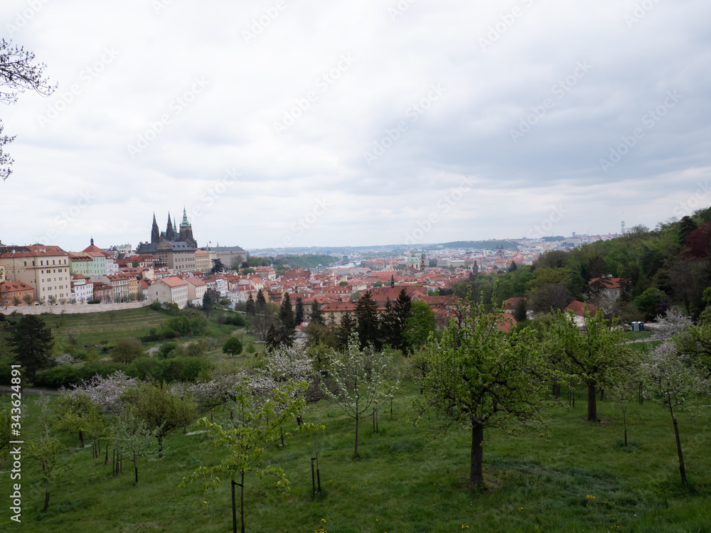 
view of the old prague and prazksy castle and the temple of st. vitus in spring in rainy weather