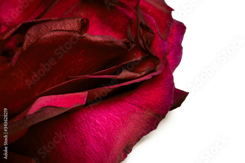 macro rose layers