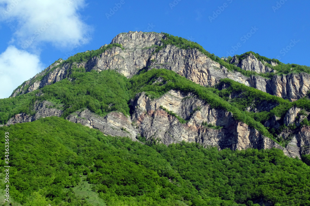 Mountain landscape with a view of rocks, grass and trees in Chechnya