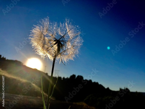 Golden hour of light