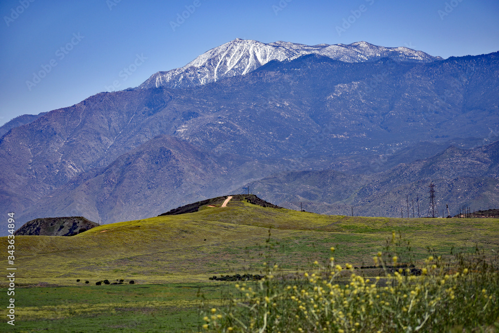 Naklejka premium View of Mountains from Pasture