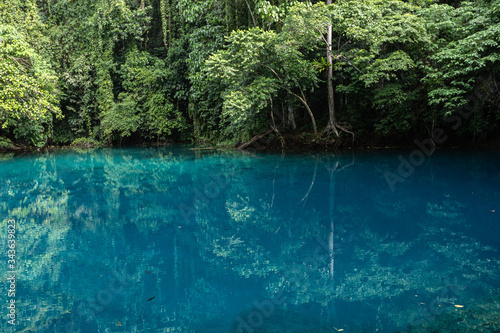 lush rainforest around freshwater blue lagoon blue hole Espirito Santo island Vanuatu Oceania	 photo